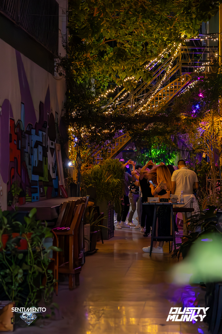 Outdoor jungle alley with fairy lights and graffiti walls